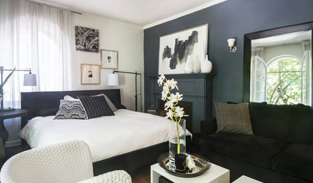 My Houzz: A 550-Square-Foot Studio Gets High-Contrast Style