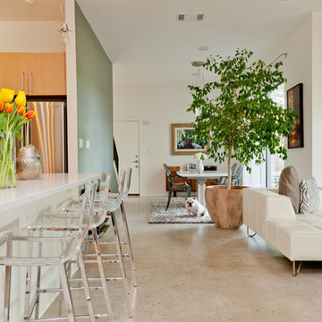 My Houzz: Modern Home