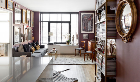 My Houzz: Rugs Define Living Spaces in a 750-Square-Foot Apartment