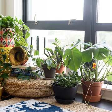 My Houzz: This D.C. Baker’s Apartment Is a Plant-Filled Oasis