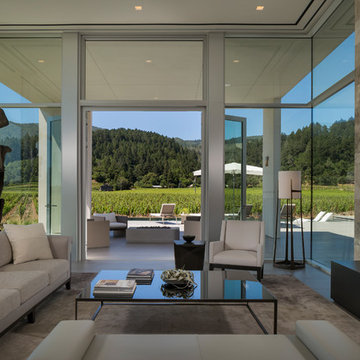 Napa Valley, California, United States Modern Vineyard Estate