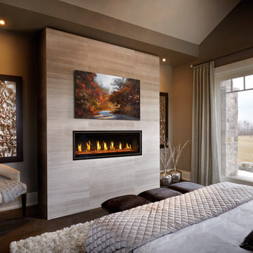 Napoleon Vector LV50 Linear Gas Fireplace