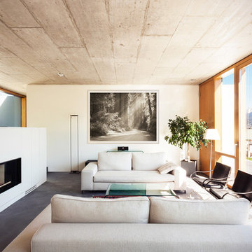 Nature Landscape - Installation in Modern Tones Living Room