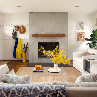 Klassisches Wohnzimmer mit weißer Wandfarbe, Kaminumrandung aus Beton, braunem Holzboden, Kamin und braunem Boden in Washington, D.C.
