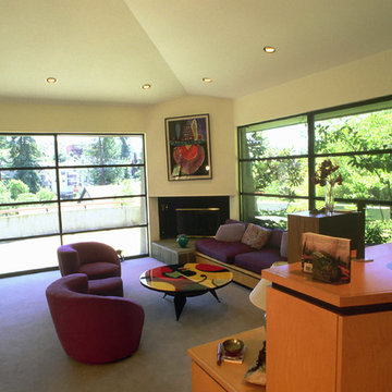 New Contemporary - Levinthal  (Oakland Hills)