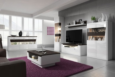 Inspiration for a modern living room in Other.