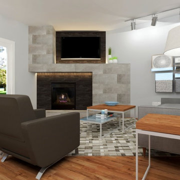 North Denver Modern Living Room & Fireplace