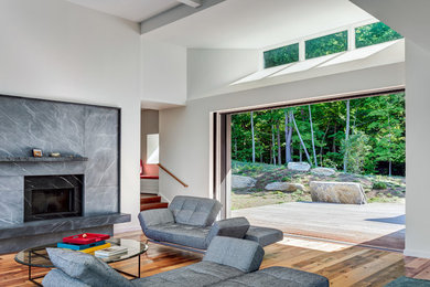 Foto de salón abierto minimalista de tamaño medio sin televisor con paredes blancas, suelo de madera en tonos medios, todas las chimeneas y marco de chimenea de piedra