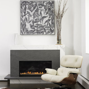 Trendy living room photo in New York with white walls and a ribbon fireplace
