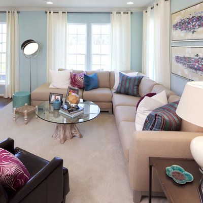 Inspiration for a contemporary living room remodel in DC Metro with blue walls