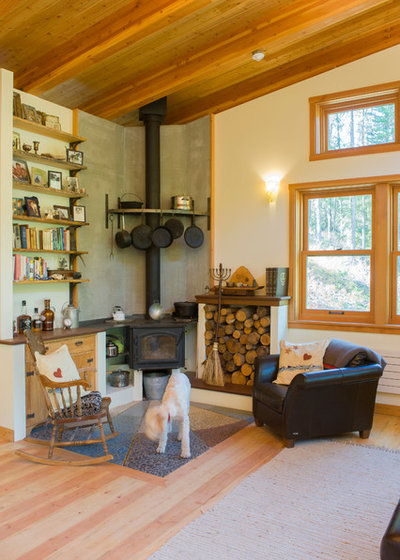 Rustic Living Room by Alexandra Immel Residential Design LLC