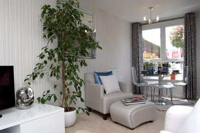 Contemporary living room in Essex.