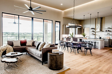 Living room - contemporary light wood floor living room idea in Austin