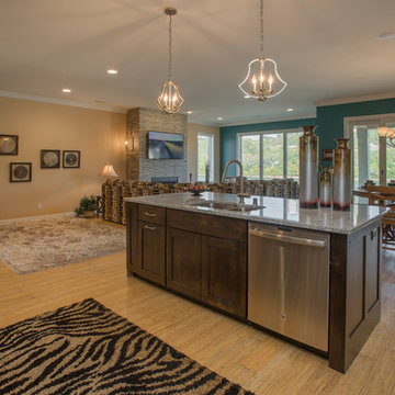Open Kitchen and Family Room