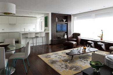 Modernes Wohnzimmer mit weißer Wandfarbe, dunklem Holzboden und braunem Boden in London