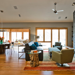 Living room - contemporary living room idea in Minneapolis with gray walls and a stone fireplace