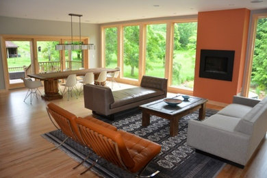 Living room - modern living room idea in Milwaukee
