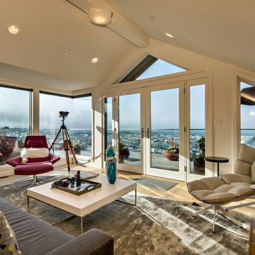 Pacific Heights Penthouse and Exterior Remodel
