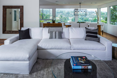 Living room - contemporary living room idea in Los Angeles