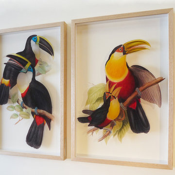 pair of signarture toucan 3D framed fine art prints