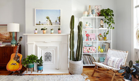 10 Style-Boosting Design Ideas for Your Houseplant Collection