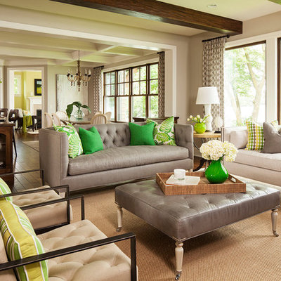 Inspiration for a transitional living room remodel in Minneapolis