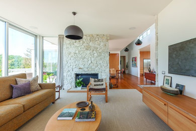 Example of a mid-century modern living room design in Other