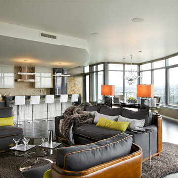 Penthouse Remodel