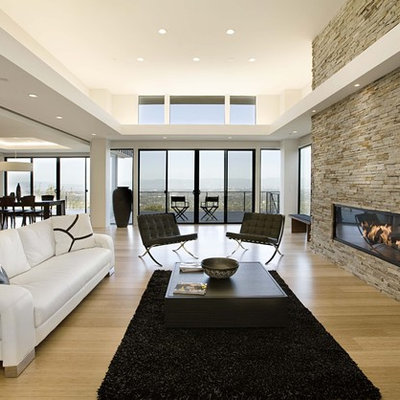 Living room - contemporary bamboo floor living room idea in San Francisco with a ribbon fireplace and a stone fireplace