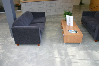 Example of a trendy living room design in Auckland