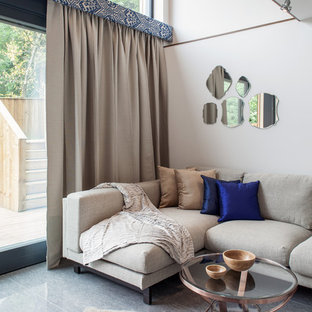 Curtains With Blinds Living Room Ideas Photos Houzz