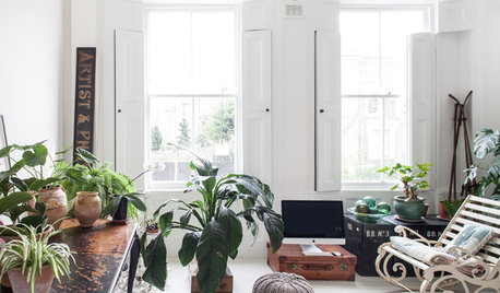 My Houzz: A Quirky Victorian Maisonette That's Doubled in Size