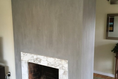 Foto de salón cerrado actual de tamaño medio con paredes beige, suelo de madera en tonos medios, todas las chimeneas y marco de chimenea de piedra