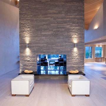 Plaza Gray Modern fireplace in Residential home