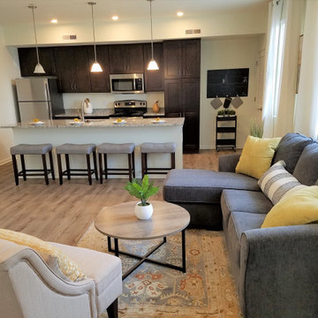 Plymouthtowne Apartment Models