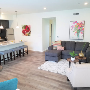 Plymouthtowne Apartment Models