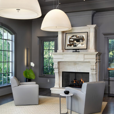 Transitional living room photo in San Francisco with gray walls and a standard fireplace