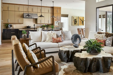Living room - shabby-chic style living room idea in Denver