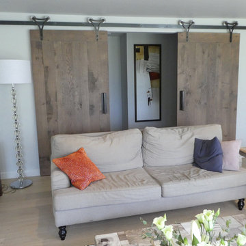 Projects - Rustic Barn Style Doors