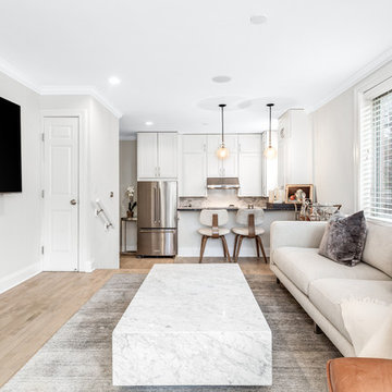 Ranch Triangle Chicago Renovation: Living Room