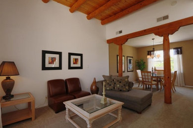 Example of a southwest living room design in Albuquerque