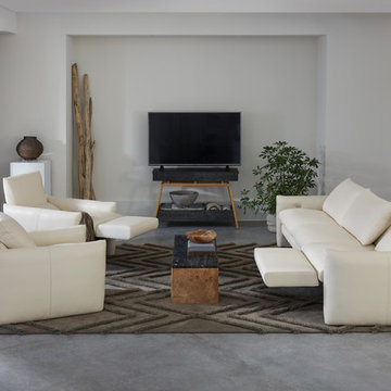 Recliners and Reclining Sofas