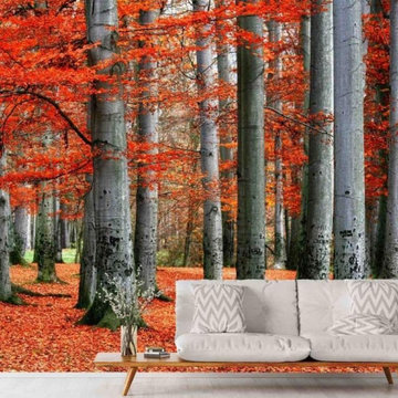 Red Forest Wallpaper in a Living Room - AboutMurals.com