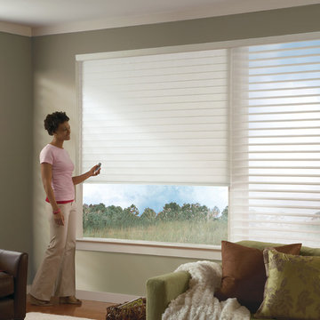 Remote Controlled Silhouette Shades