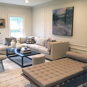 Residential Services | Modern Darien CT Living Room