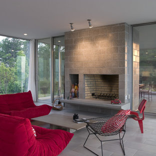 Minimalist living room photo in Baltimore with a standard fireplace
