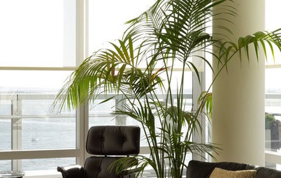Palm Trees Take Interiors on a Tropical Vacation