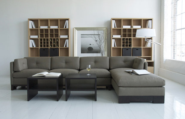 Modern Living Room by Robert Allen Design