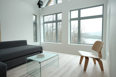 Источник вдохновения для домашнего уюта: двухуровневая гостиная комната среднего размера в стиле модернизм с белыми стенами, светлым паркетным полом и белым полом без телевизора