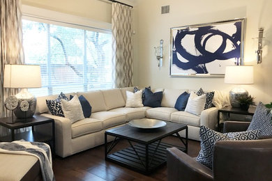 Transitional living room photo in Austin